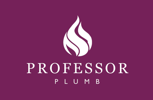 Professor Plumb